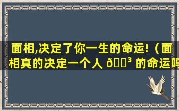 面相,决定了你一生的命运!（面相真的决定一个人 🌳 的命运吗）